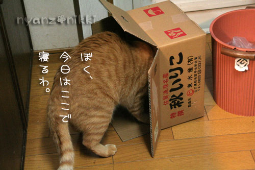 今晩は煮干パーティ♪♪_d0355333_15035366.jpg