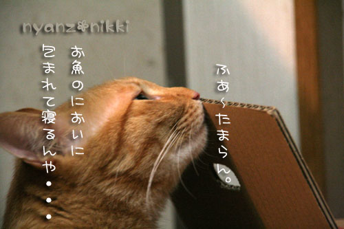 今晩は煮干パーティ♪♪_d0355333_15035463.jpg