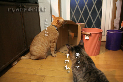今晩は煮干パーティ♪♪_d0355333_15035479.jpg