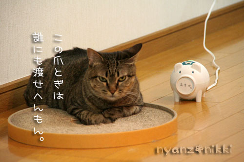 丸型つめとぎと仲良し男子_d0355333_15035584.jpg