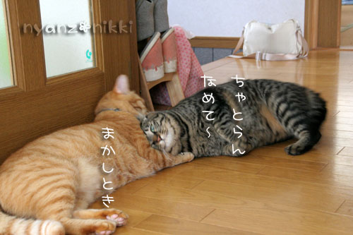 丸型つめとぎと仲良し男子_d0355333_15035770.jpg