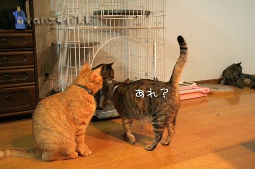 期待でわくわく?!_d0355333_15041824.jpg