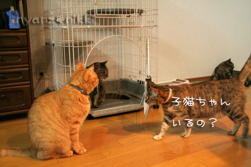 期待でわくわく?!_d0355333_15041879.jpg