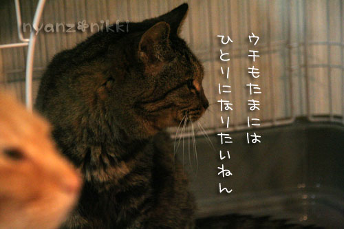期待でわくわく?!_d0355333_15041952.jpg