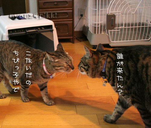 あきらくんがやってきた!_d0355333_15042263.jpg