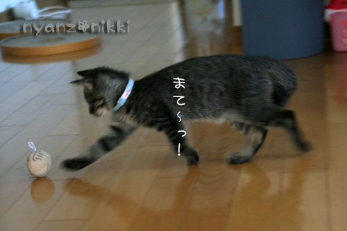 スゴ技披露~!_d0355333_15043922.jpg
