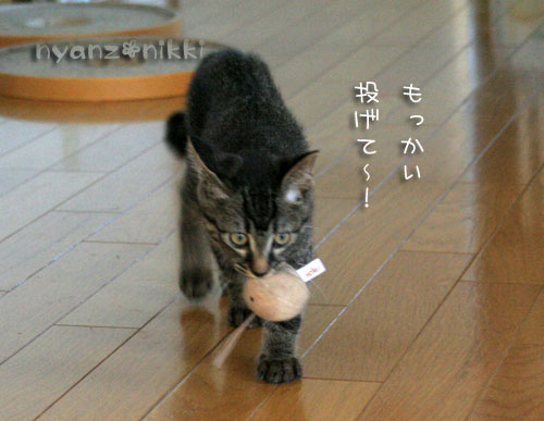 スゴ技披露~!_d0355333_15044059.jpg