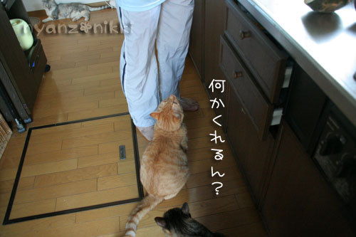 カレー土曜日♪_d0355333_15044430.jpg