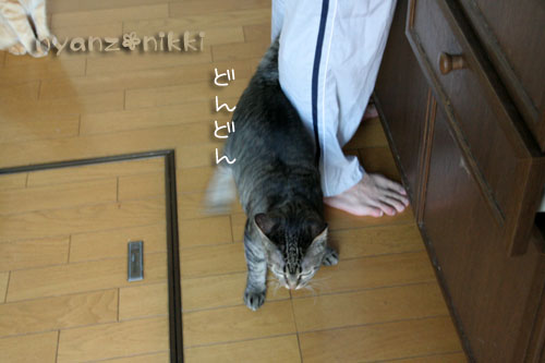 カレー土曜日♪_d0355333_15044431.jpg