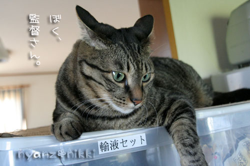 カレー土曜日♪_d0355333_15044484.jpg