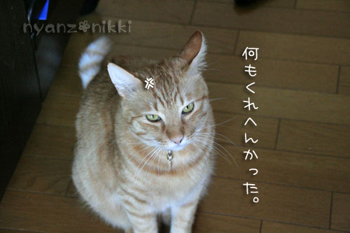 カレー土曜日♪_d0355333_15044641.jpg