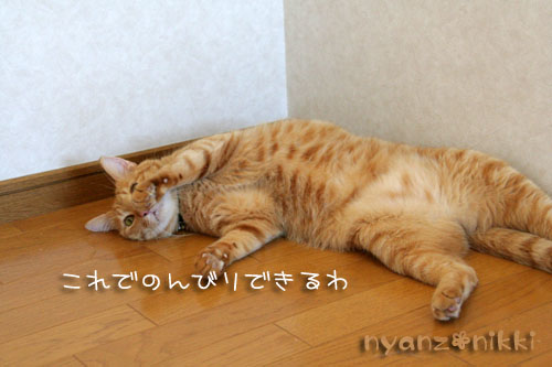 箱遊び、そして預かりさんの元へ_d0355333_15045487.jpg