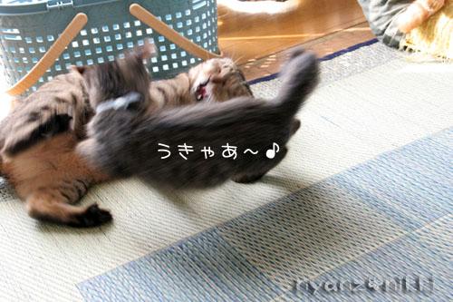 のんびりしようよ_d0355333_15045547.jpg