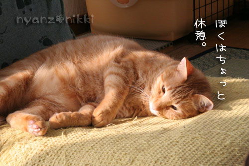のんびりしようよ_d0355333_15045640.jpg