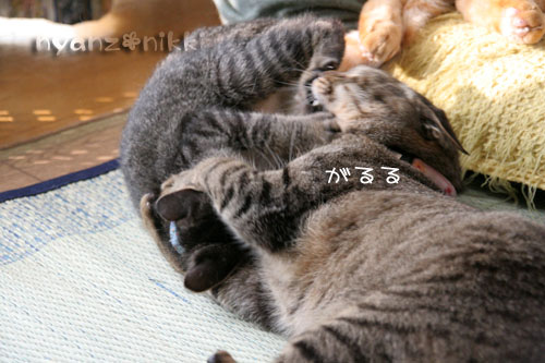 のんびりしようよ_d0355333_15045643.jpg