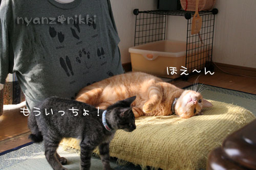 のんびりしようよ_d0355333_15045755.jpg