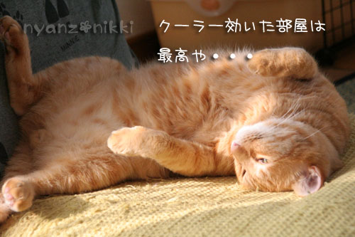 のんびりしようよ_d0355333_15045760.jpg