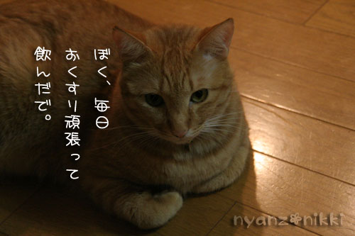 投薬名人への道、少しは近くなった?_d0355333_15062772.jpg