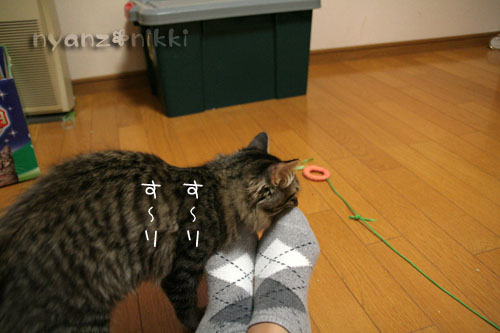 投薬名人への道、少しは近くなった?_d0355333_15062889.jpg