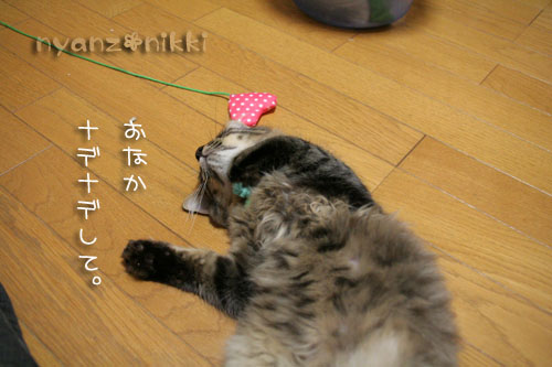 投薬名人への道、少しは近くなった?_d0355333_15062996.jpg
