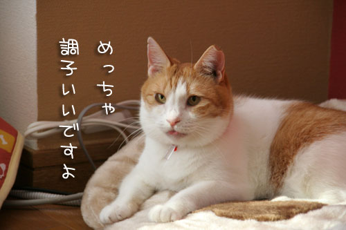 それぞれの「幸せのちから」_d0355333_15094220.jpg