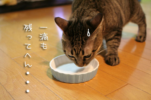 仲良く飲んでね_d0355333_15094622.jpg