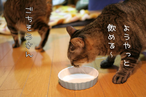 仲良く飲んでね_d0355333_15094640.jpg