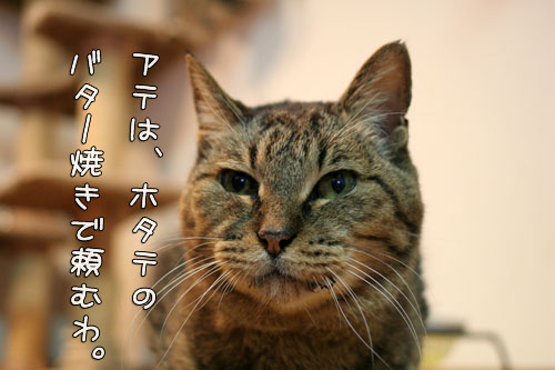 ボジョレー・ヌーヴォー★キタ───!!!_d0355333_15095294.jpg
