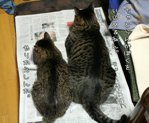 百戦錬磨のアドバイス_d0355333_15095597.jpg