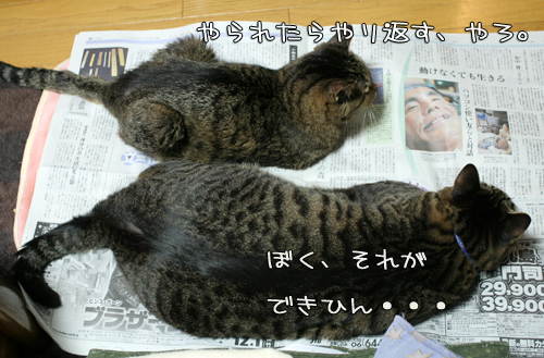 百戦錬磨のアドバイス_d0355333_15095646.jpg