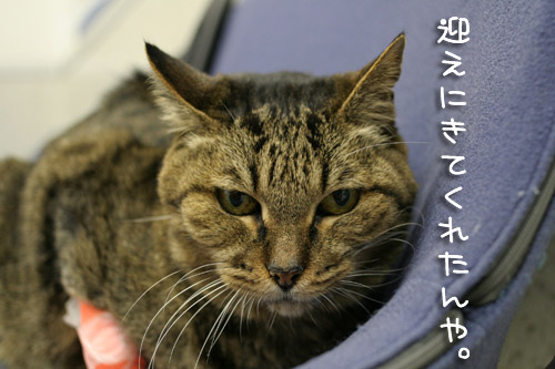 出るモンも出んね?_d0355333_15100718.jpg