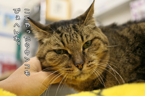 出るモンも出んね?_d0355333_15100928.jpg