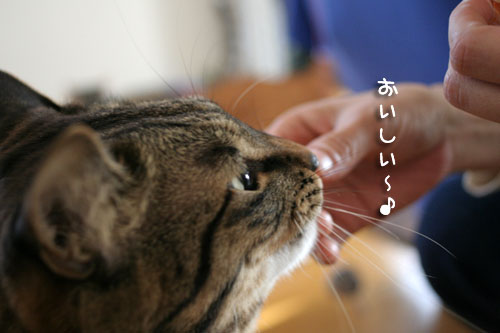 優しいお友達とお好み焼き_d0355333_15101190.jpg