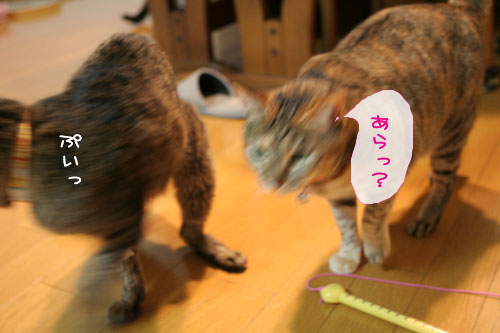 超マイペース宣言!_d0355333_15101608.jpg