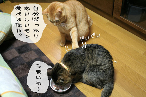 超マイペース宣言!_d0355333_15101754.jpg