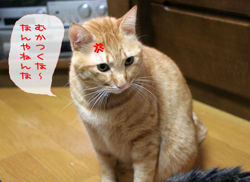 超マイペース宣言!_d0355333_15101886.jpg
