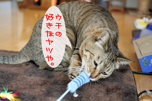 寝起きはノリ悪ぃ~の_d0355333_15102372.jpg
