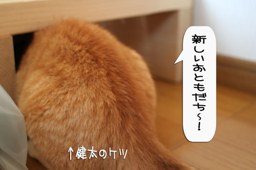 樹理ちゃんお預かり~_d0355333_16360867.jpg