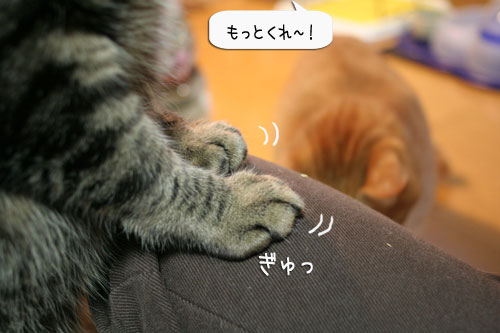樹理ちゃんお預かり~_d0355333_16361182.jpg