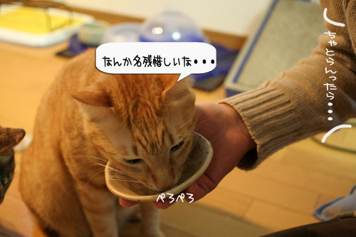 樹理ちゃんお預かり~_d0355333_16361303.jpg
