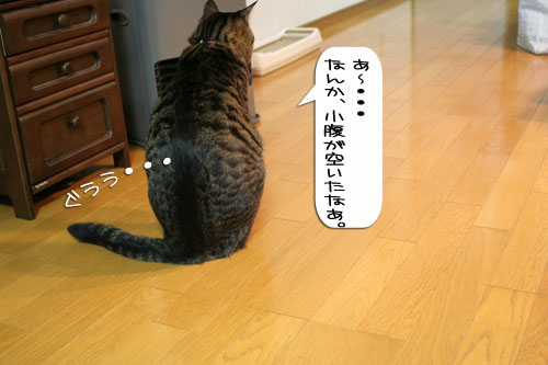 油断禁物!_d0355333_16362143.jpg