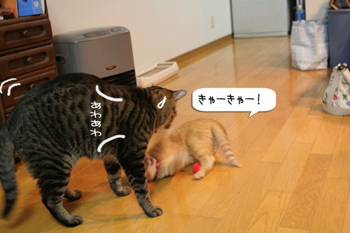 油断禁物!_d0355333_16362255.jpg
