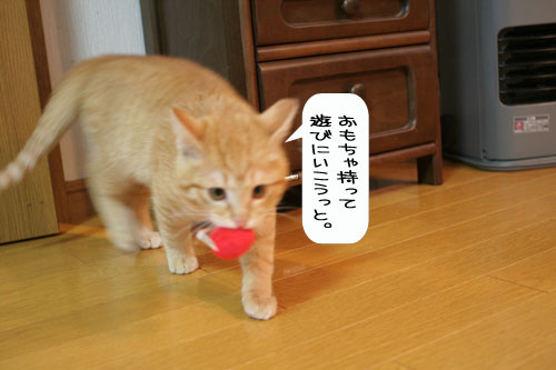 油断禁物!_d0355333_16362301.jpg