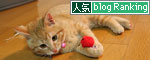 診断の結果は・・・★動画つき_d0355333_16362654.jpg