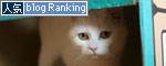 子猫もうっとり★ちゃとらん動画つき_d0355333_16364155.jpg