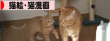 子猫もうっとり★ちゃとらん動画つき_d0355333_16364158.jpg
