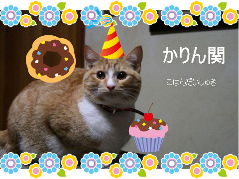 猫とお線香の関係&幸せ報告_d0355333_16364475.jpg