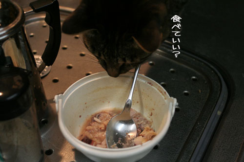 にゃんずご飯と男の料理_d0355333_16364845.jpg