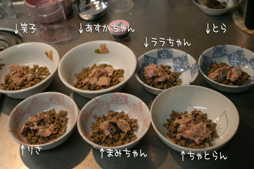 にゃんずご飯と男の料理_d0355333_16364935.jpg