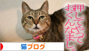 芸猫人生を突き進む_d0355333_16365970.jpg
